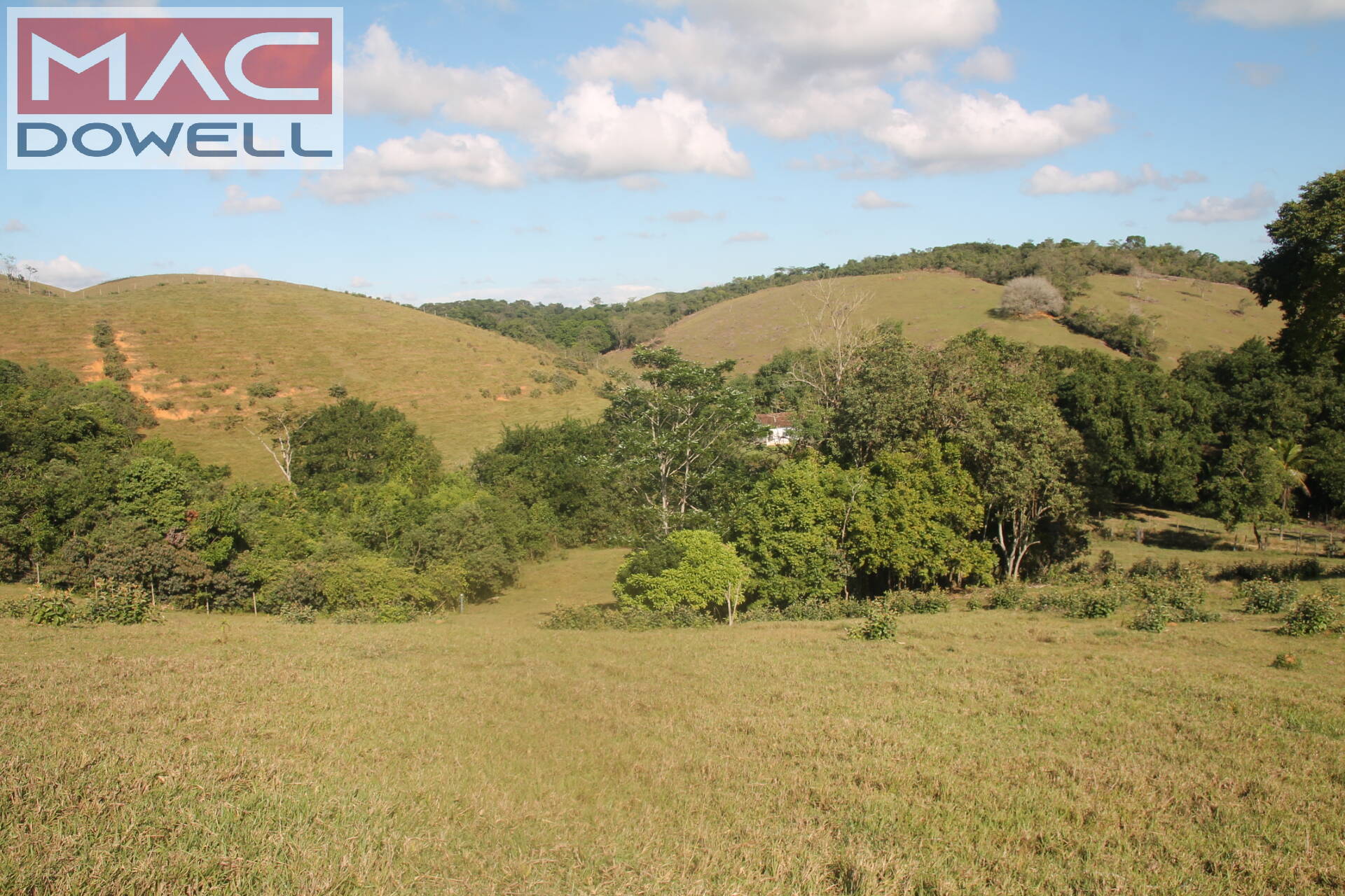 Fazenda à venda com 9 quartos, 1000m² - Foto 5