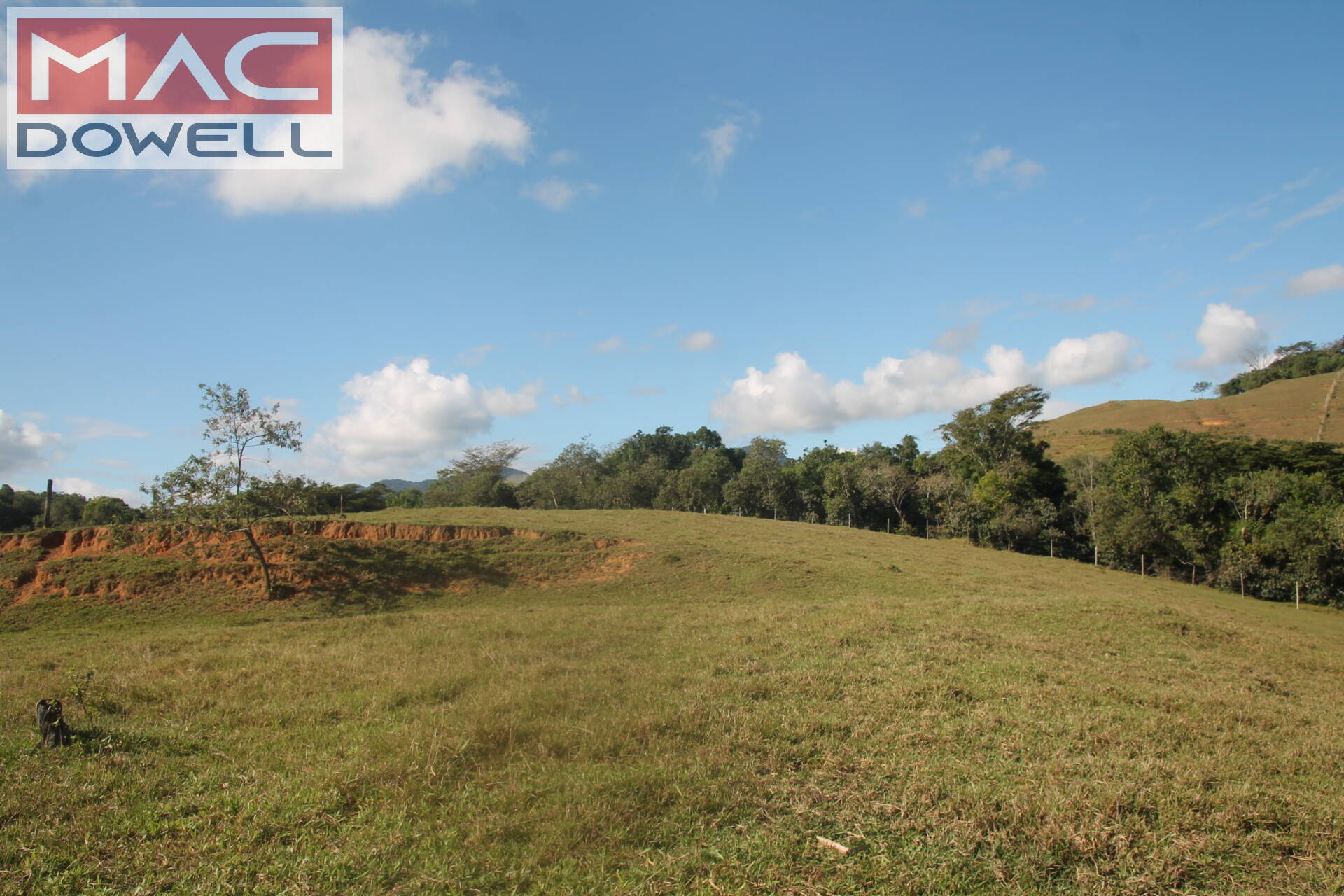 Fazenda à venda com 9 quartos, 1000m² - Foto 7