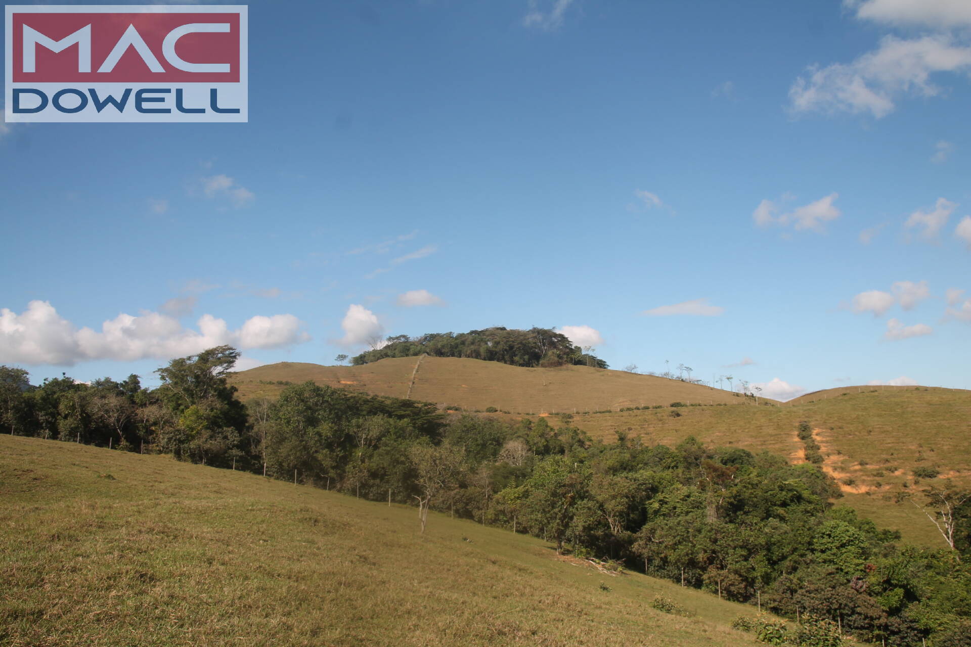 Fazenda à venda com 9 quartos, 1000m² - Foto 6