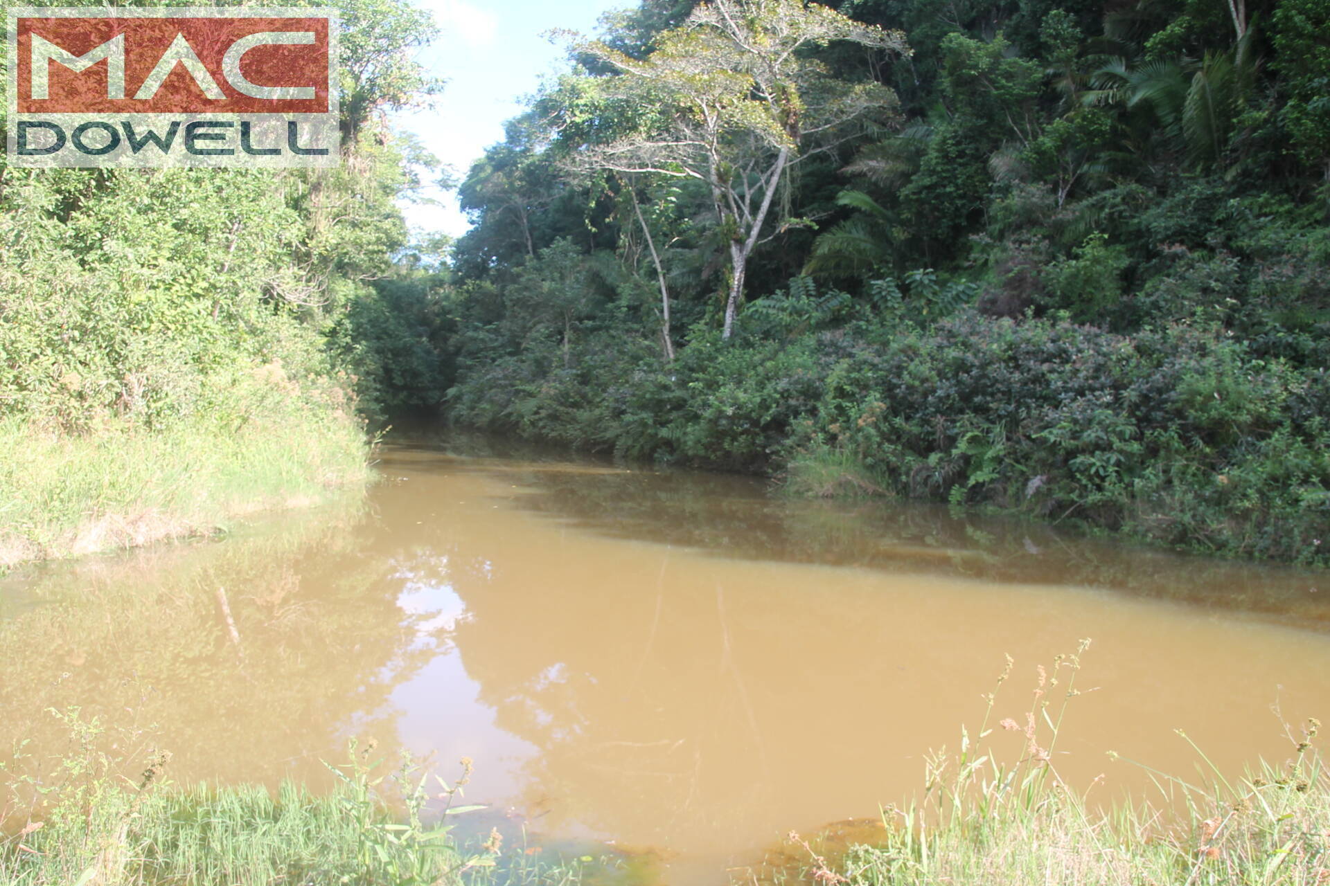 Fazenda à venda com 9 quartos, 1000m² - Foto 23