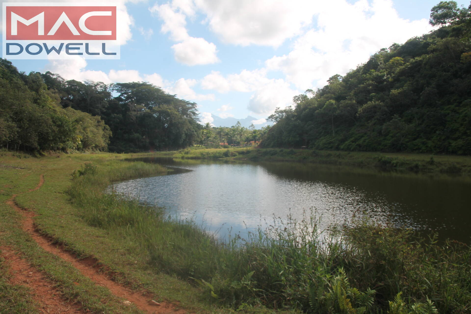 Fazenda à venda com 9 quartos, 1000m² - Foto 25