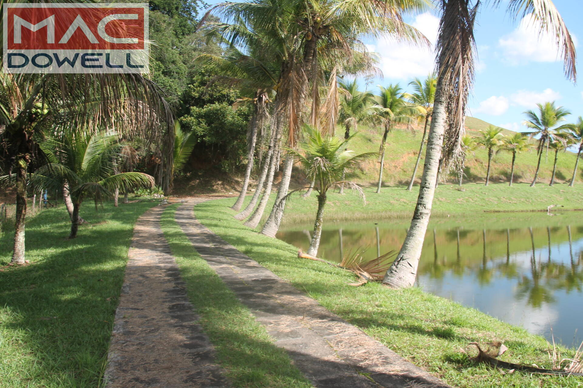 Fazenda à venda com 9 quartos, 1000m² - Foto 27