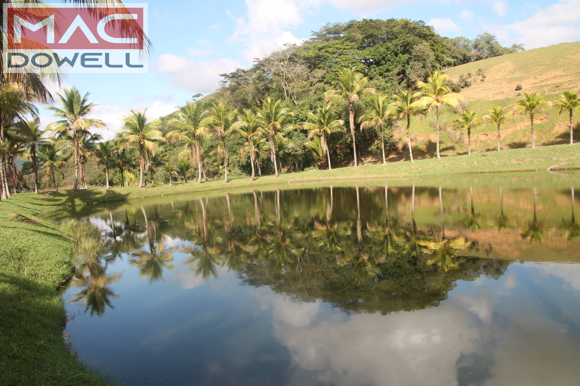 Fazenda à venda com 9 quartos, 1000m² - Foto 32