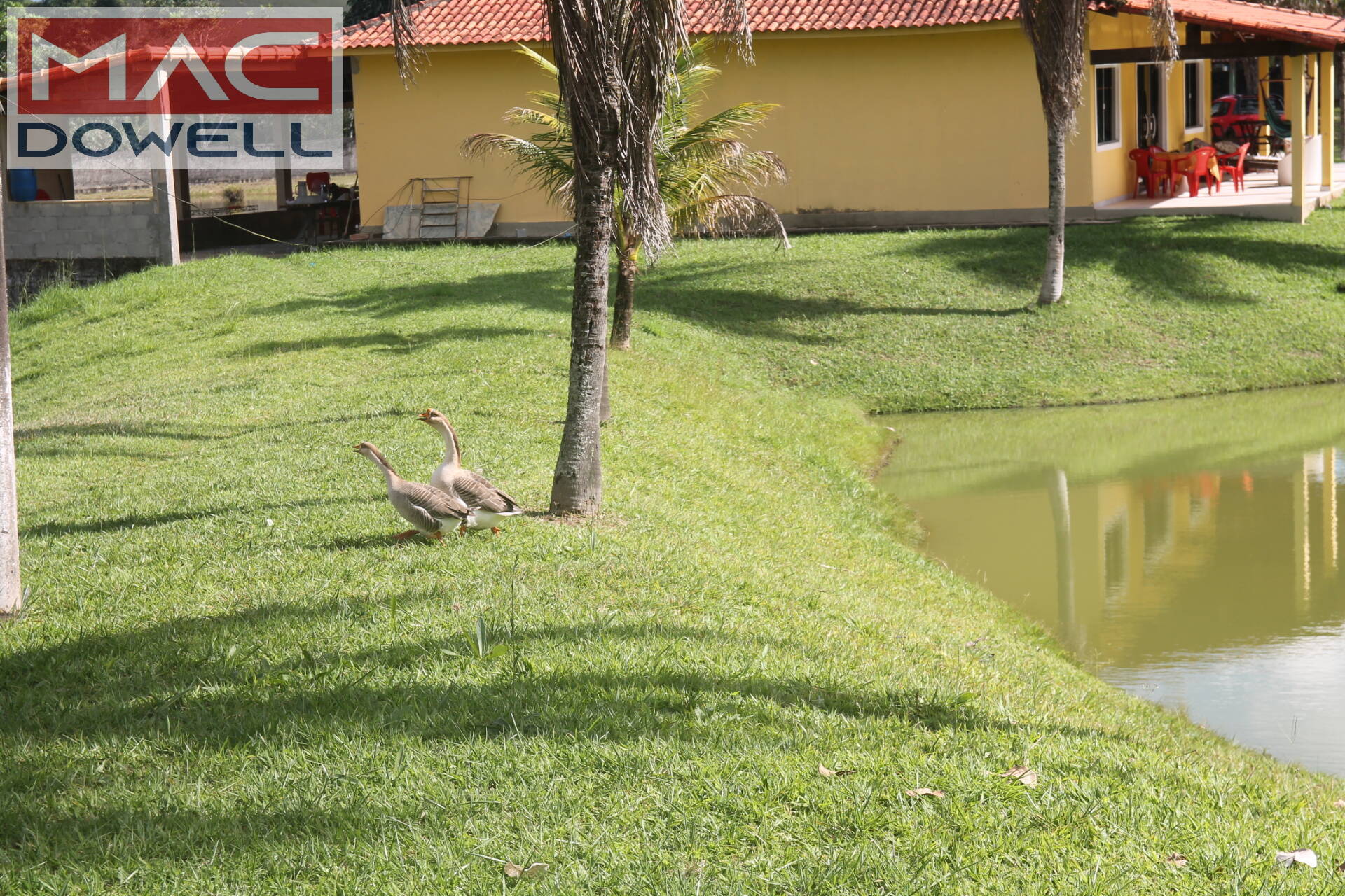 Fazenda à venda com 9 quartos, 1000m² - Foto 34