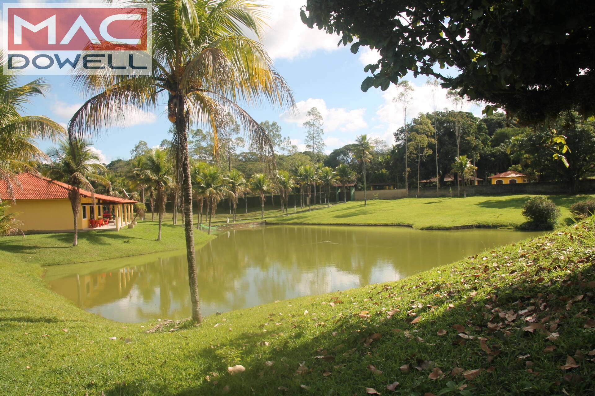 Fazenda à venda com 9 quartos, 1000m² - Foto 35