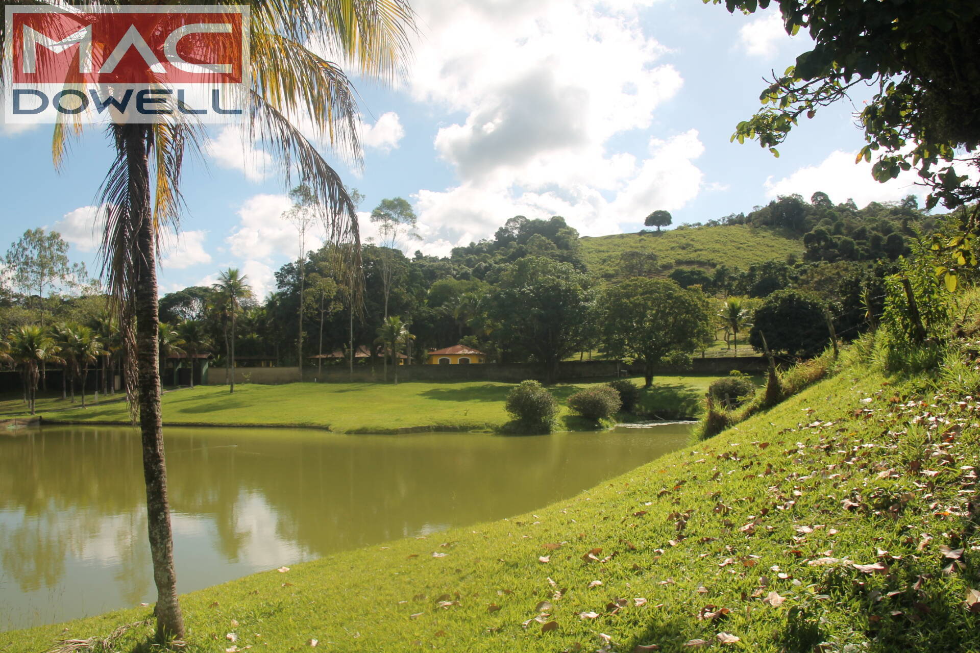 Fazenda à venda com 9 quartos, 1000m² - Foto 36