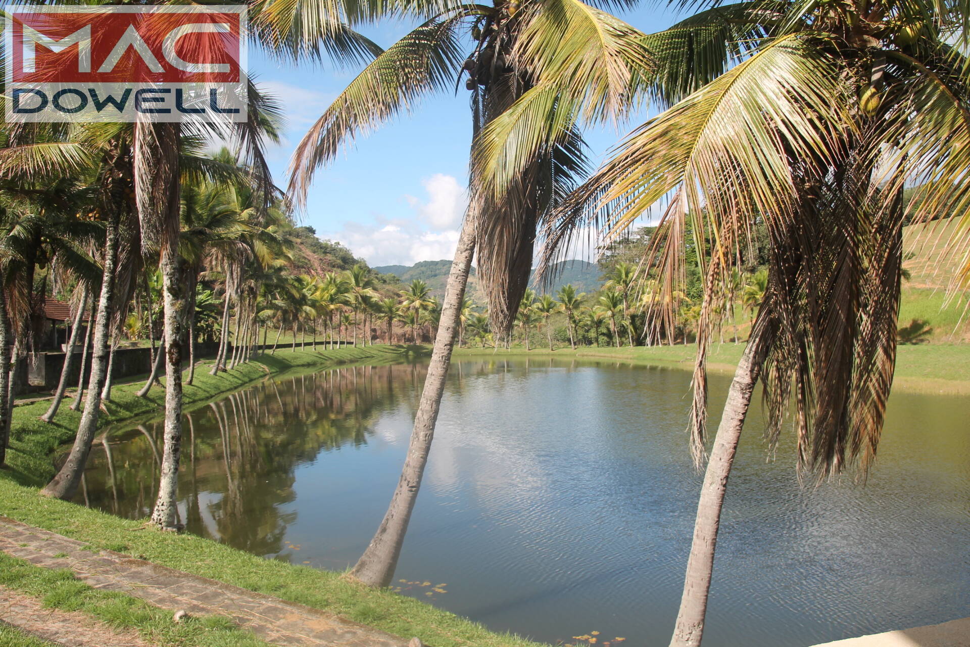 Fazenda à venda com 9 quartos, 1000m² - Foto 37