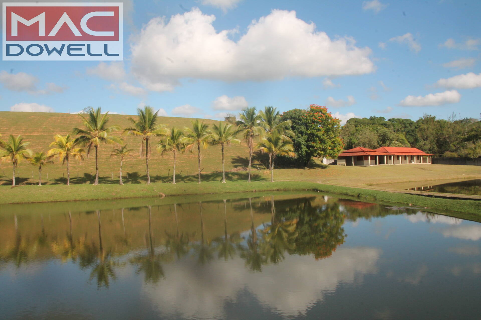 Fazenda à venda com 9 quartos, 1000m² - Foto 2